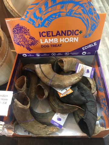 Icelandic+ Lamb Horn (Large - 10")
